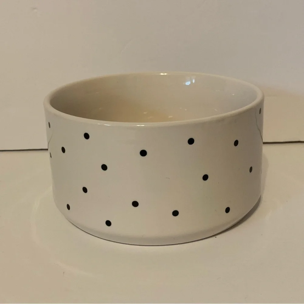 NWT. RAE DUNN X PEANUTS Snoopy Spooktacular Candy Bowl/Pet